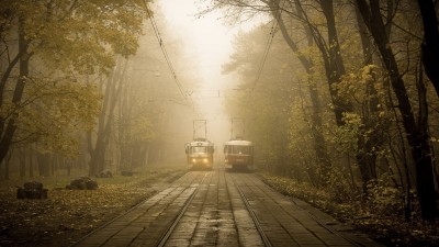 جنگل-قطار-مه-منظره-طبیعت